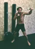 PowerPuncher Wallmount